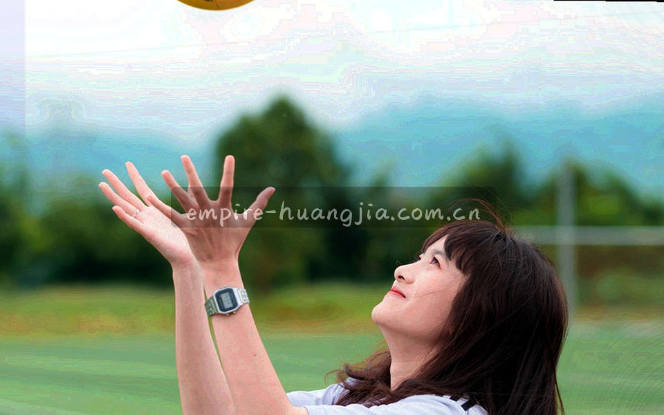 深紫背景上的金色折线与柱状统计抽象图形，呈现数据仪表盘质感